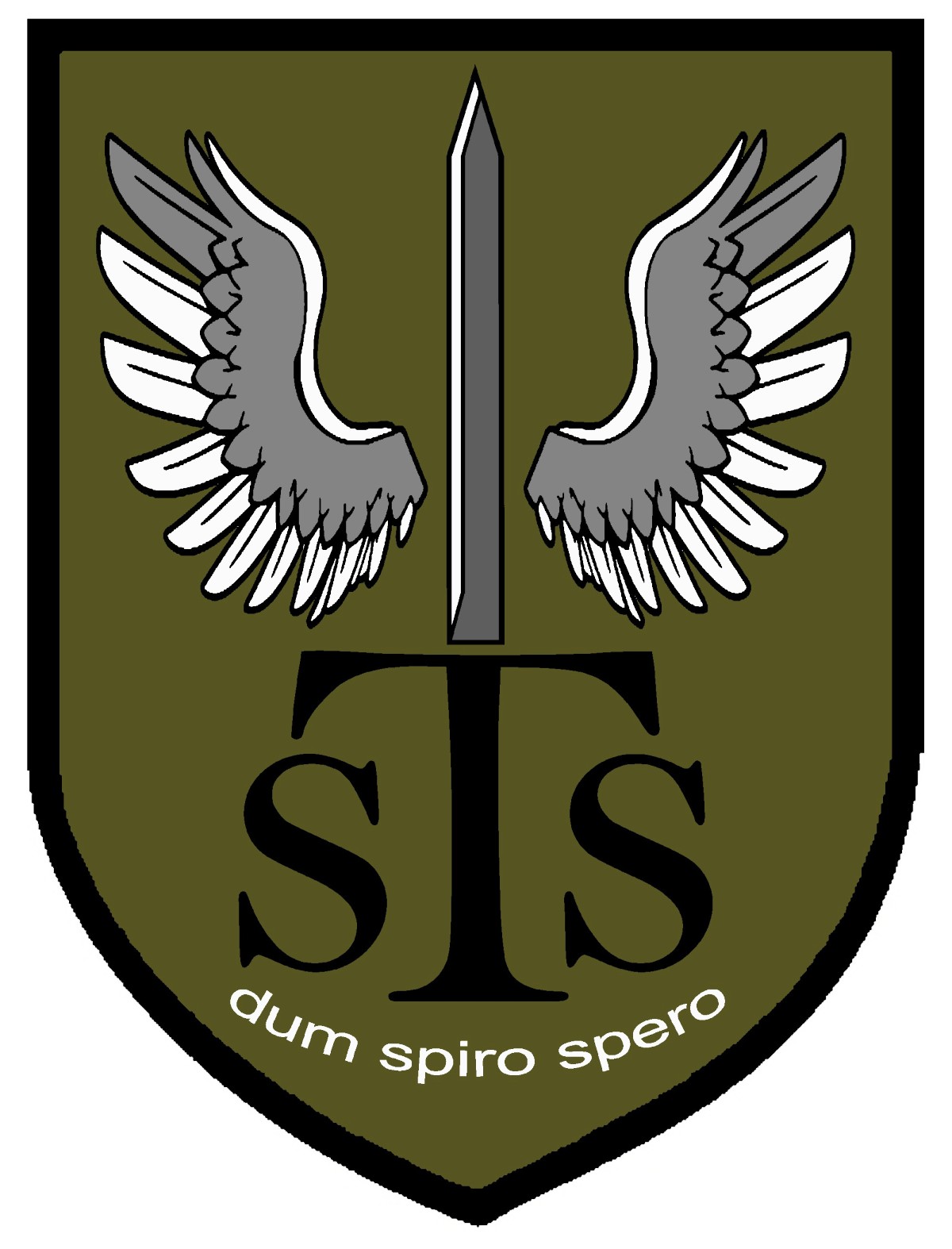 S.T.S. - Speciální Táborové Síly VOJENSKÉ AKADEMIE