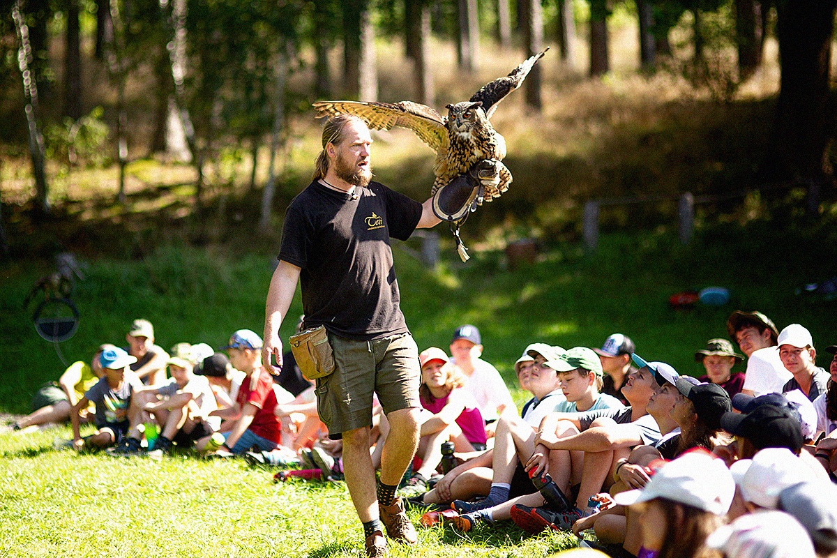 Absolutně báječný program sokolníka