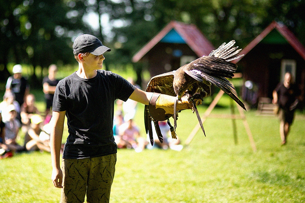 Absolutně báječný program sokolníka